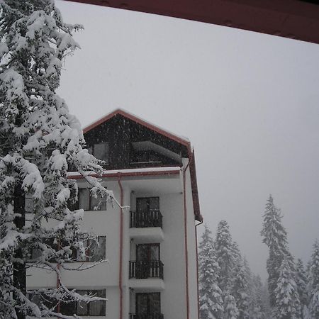 Borovets Gardens Chalet Flat מראה חיצוני תמונה