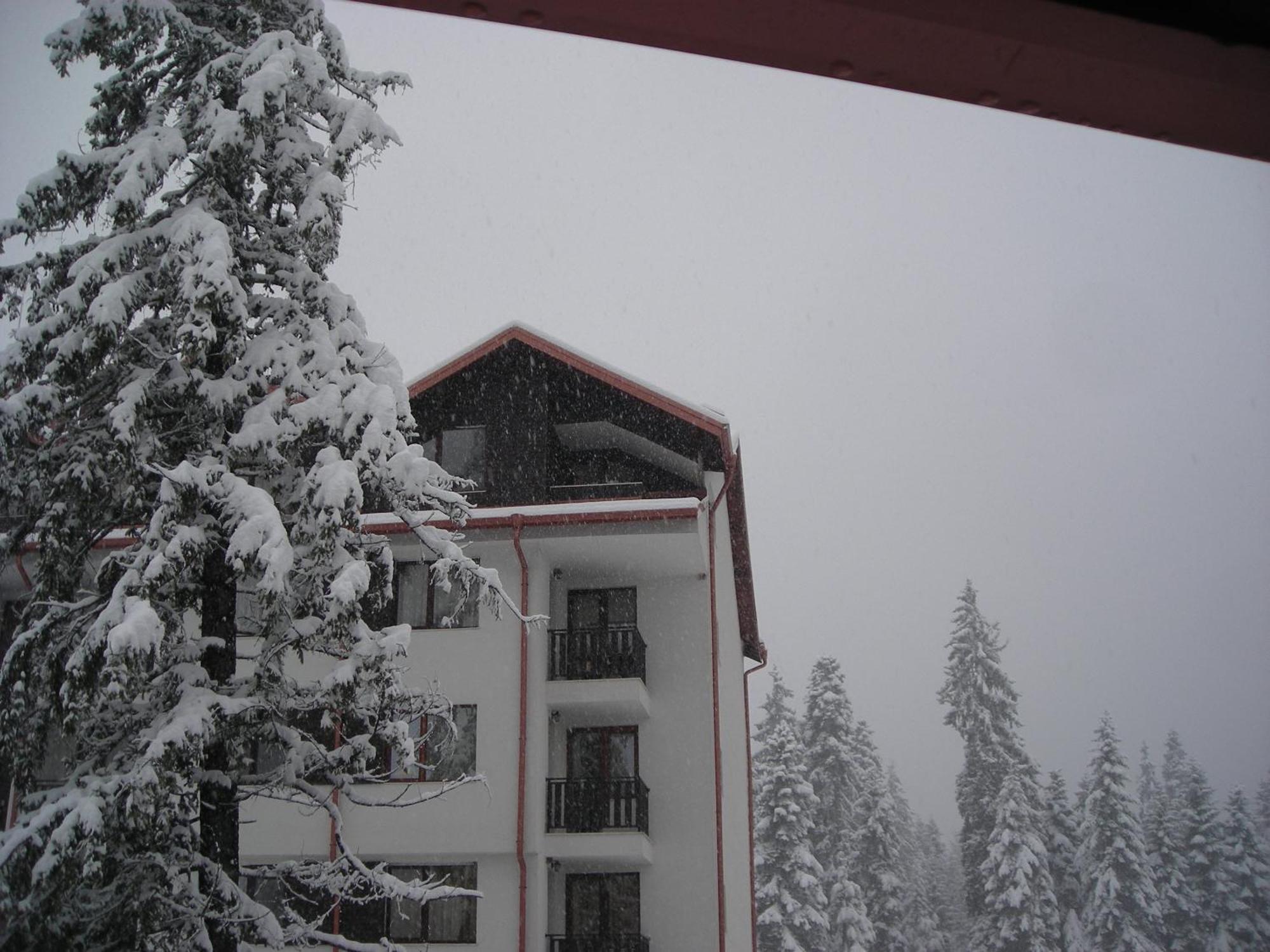 Borovets Gardens Chalet Flat מראה חיצוני תמונה